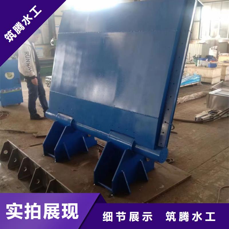 翻板闸门厂家直营