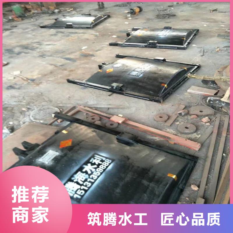 弧形铸铁闸门工厂直供