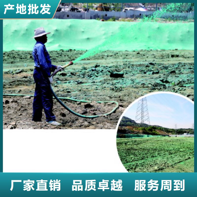 臭氧治理溶液道路泡沫降尘剂